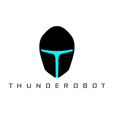 Ремонт Thunderobot